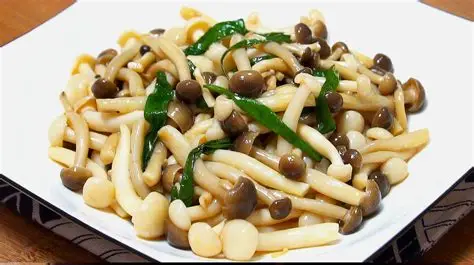 蘑菇视频 - 美食制作教程